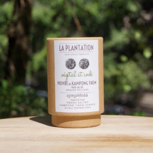 tube en kraft de poivres de kampong thom