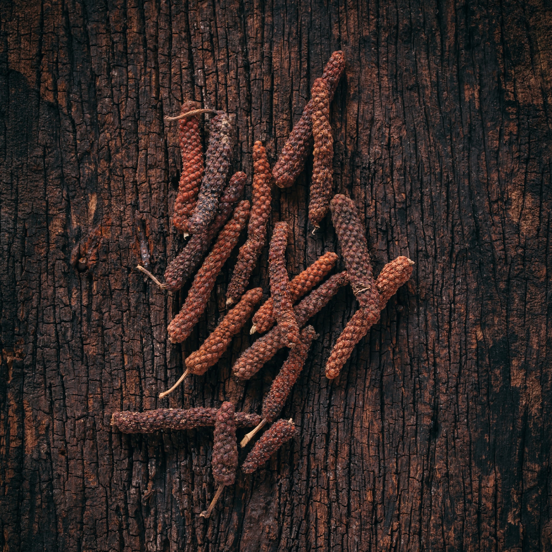 Assortiment de poivre long rouge sur une surface en bois