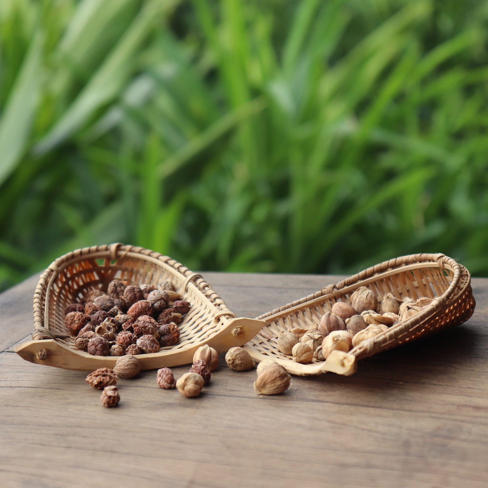 mélanges de graines de cardamomes