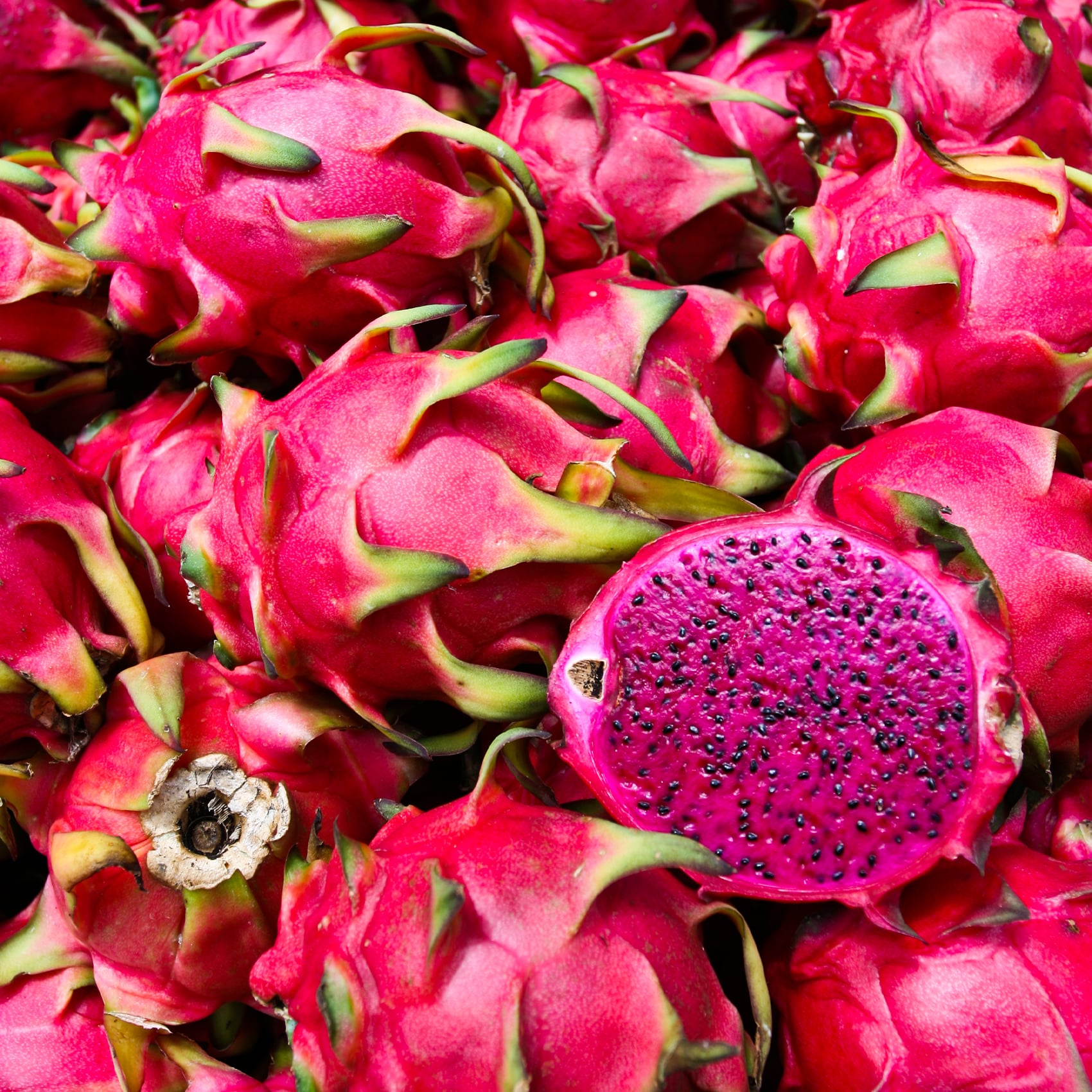 Fruit du Dragon rose