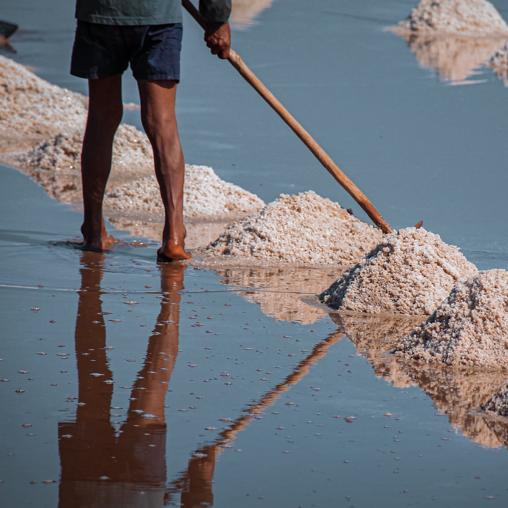 Le ramassage du Sel à Kampot