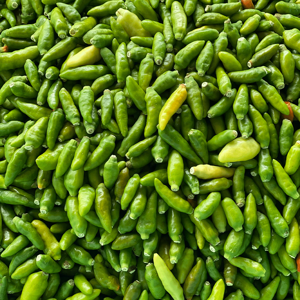 Piment Oiseau vert entier