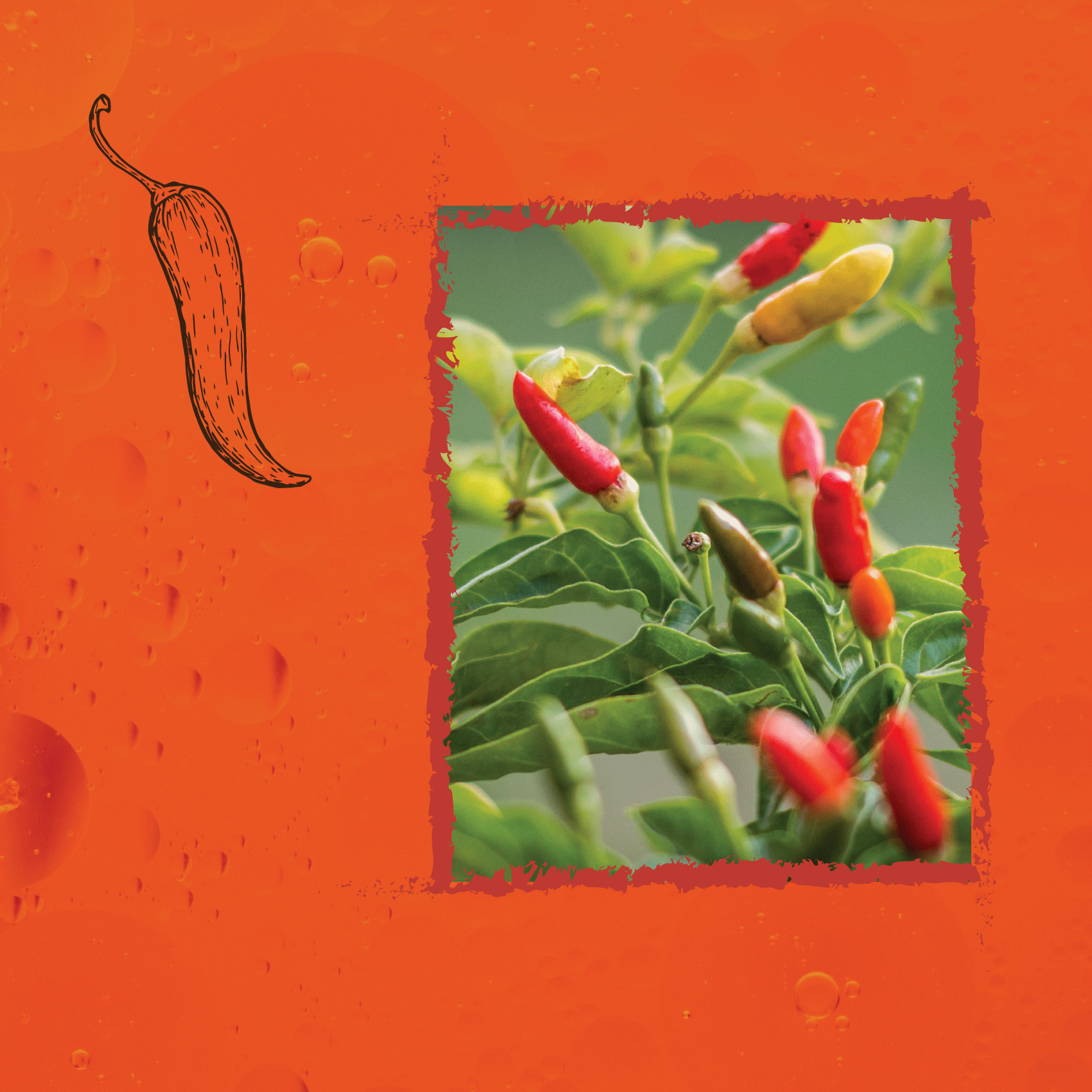 Vinaigre artisanal au Piment Oiseau