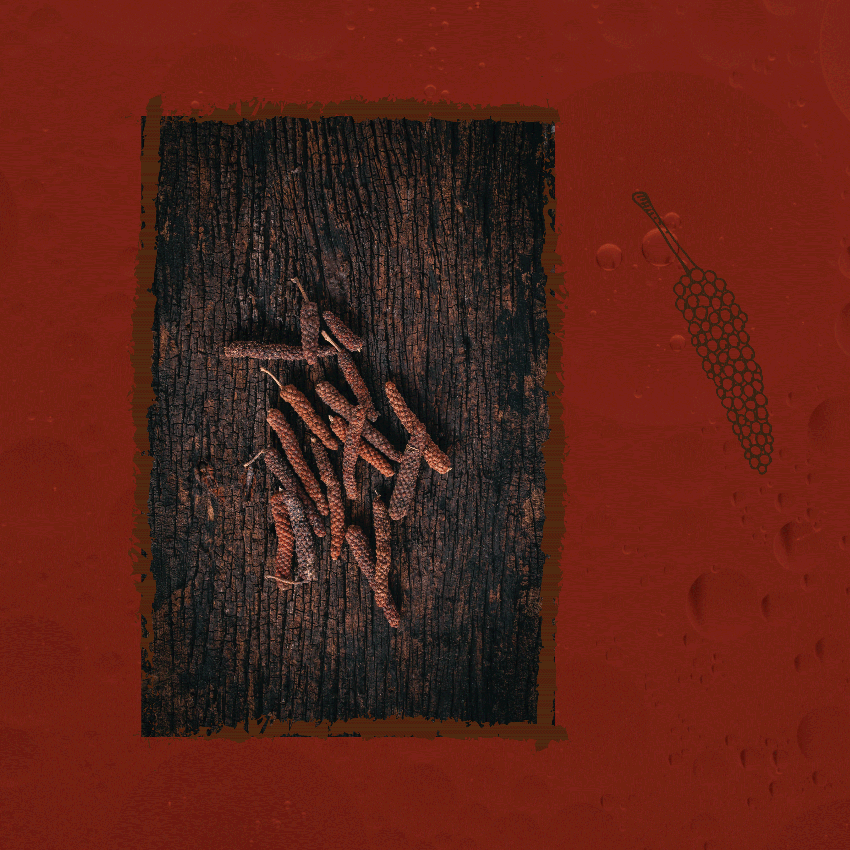 Vinaigre artisanal au Poivre Long