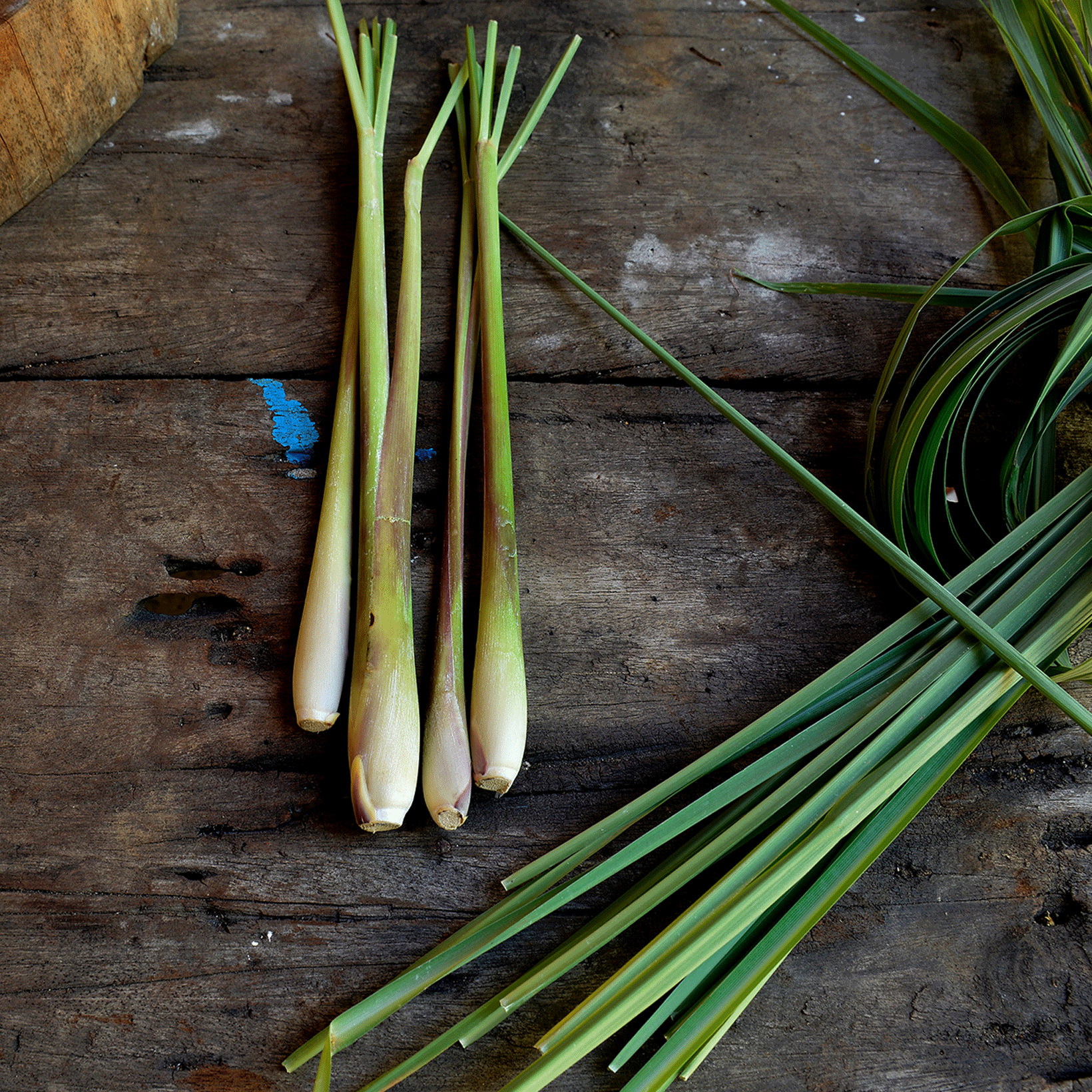 frisches Zitronengras auf einem Holztisch