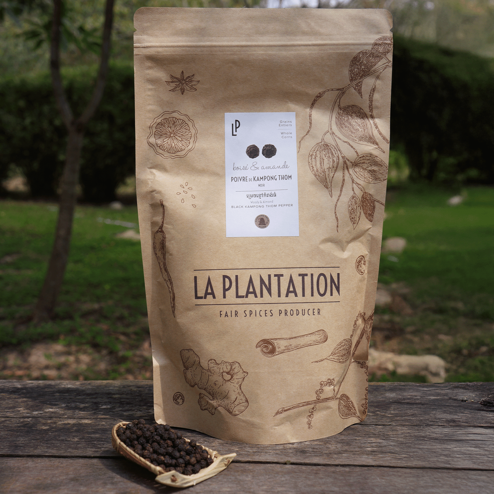 black Kampong Thom peppercorns