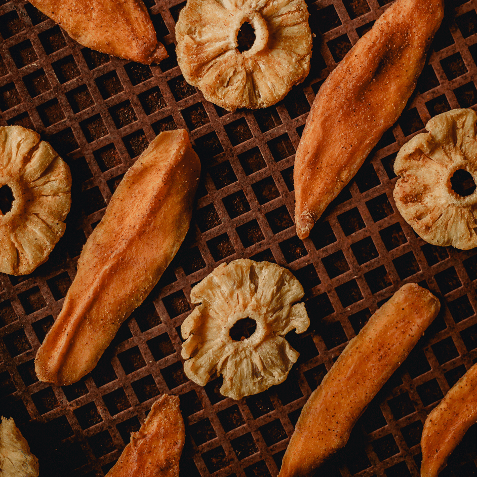 dried mango and pineapple on a oven plate