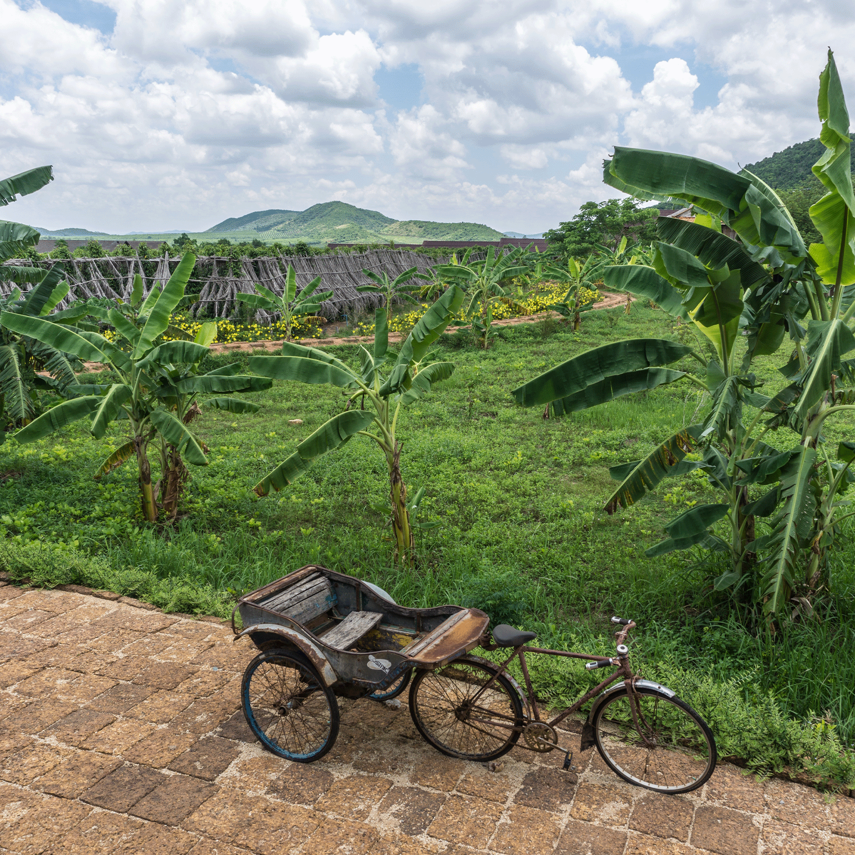 tuk tuk garé sur une route de campagne