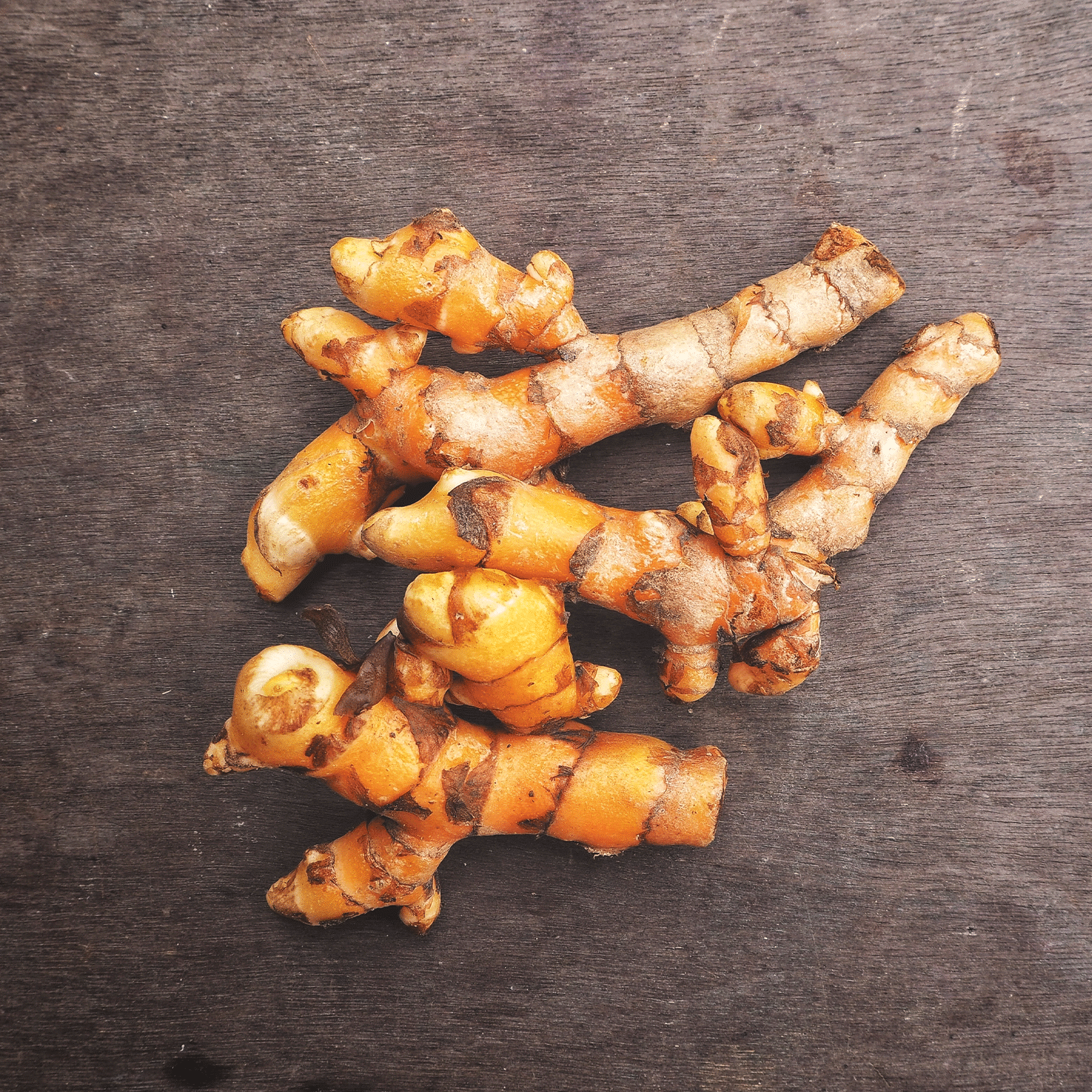 Kurkuma Wirkung – wissenschaftliche Darstellung der Curcumin-Eigenschaften