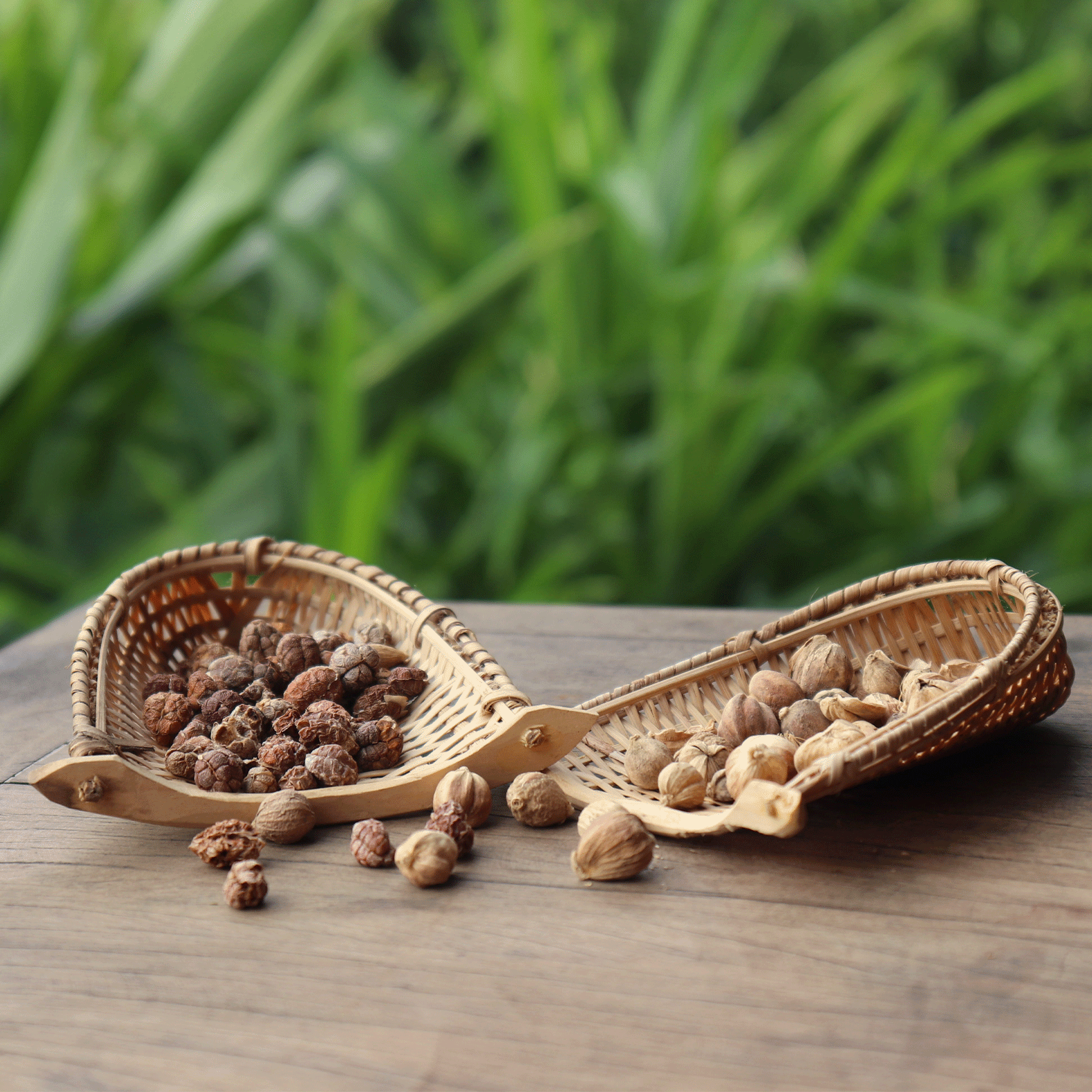 graine de cardamomes sauvages dans un panier en osier