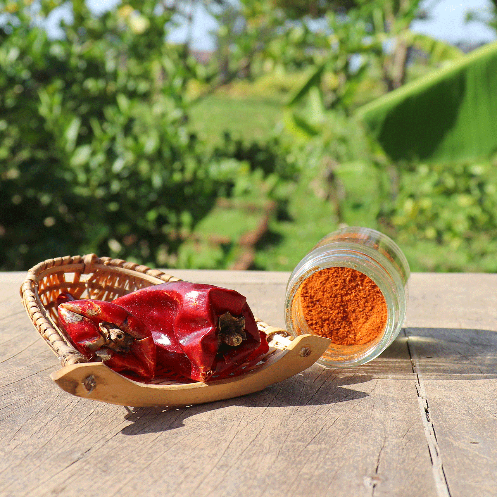capsicum entier et en poudre