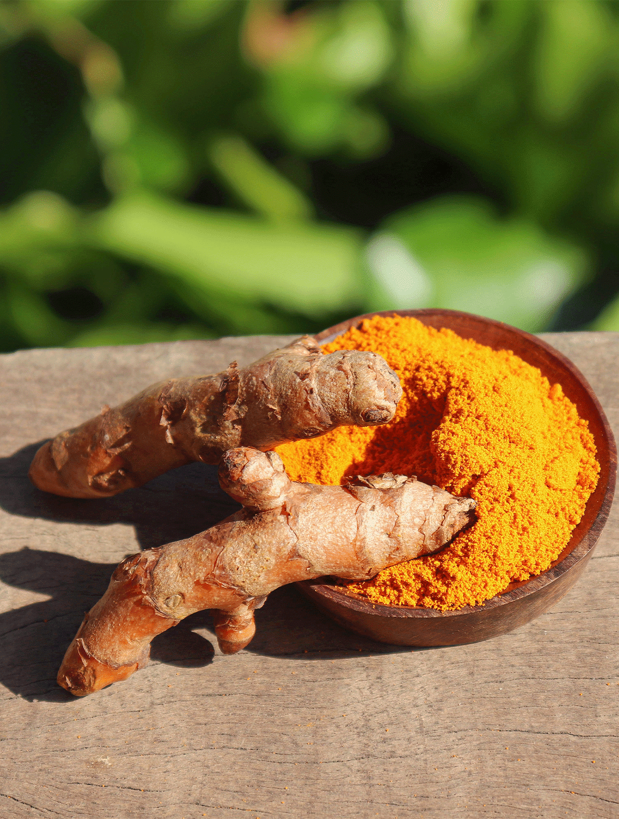 racines de curcuma brut et en poudre