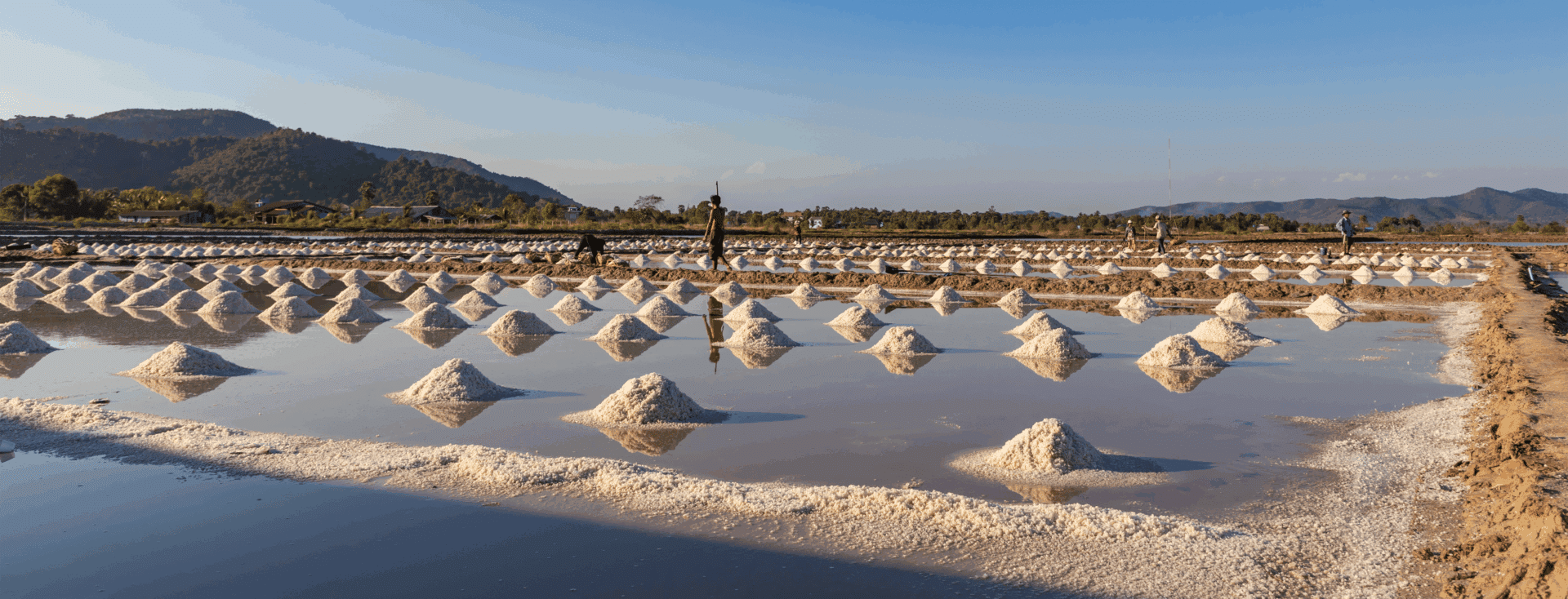 view of the Kampot salt flats in southern Cambodia