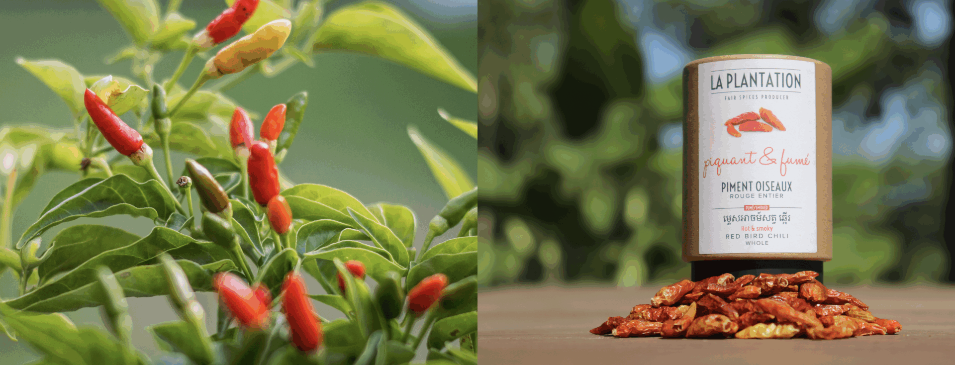 piments entiers et déshydratés en vrac