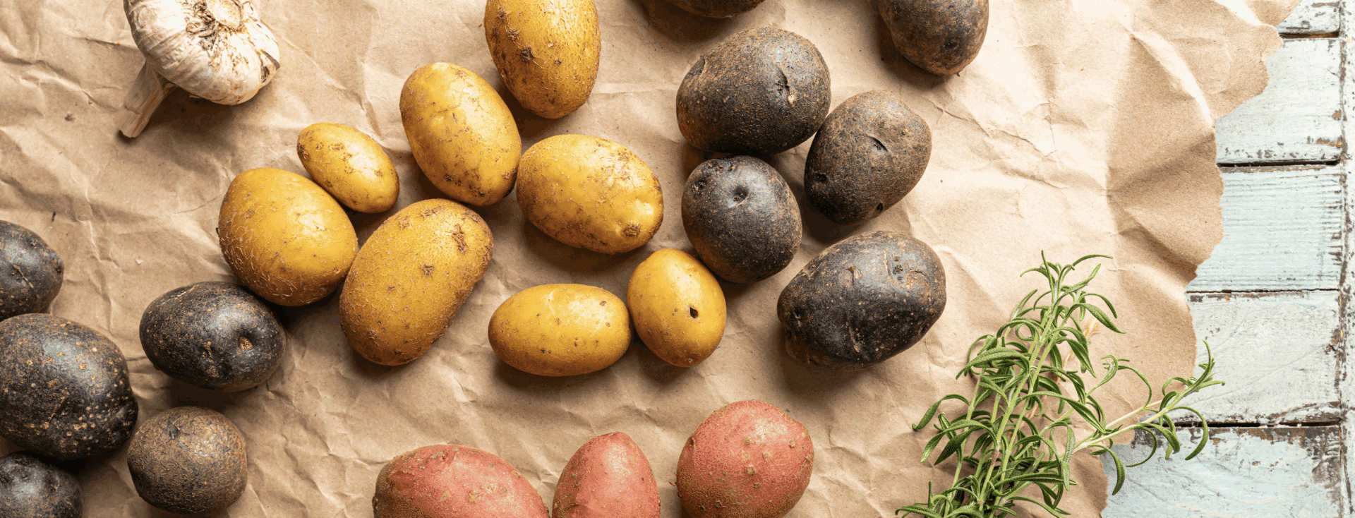mehrere Kartoffelsorten auf einer Fläche