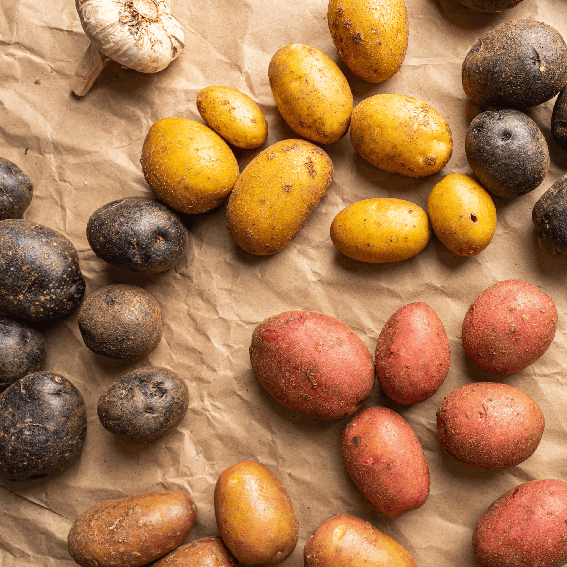variété de pommes de terre sur une surface