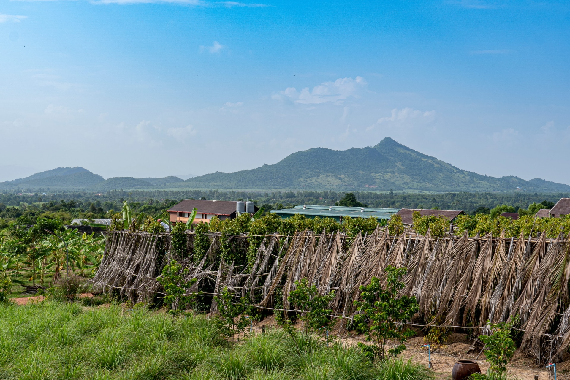 vue panoramique de Kampot et montagne en arrière plan